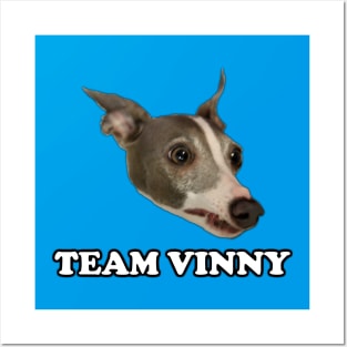 Pretty Good Cooking - Team Vinny Posters and Art